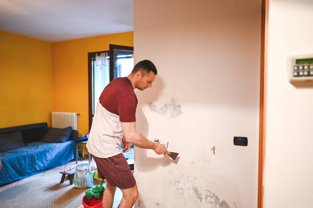 Best Office Mold Removal Services  in Buena Vista, GA